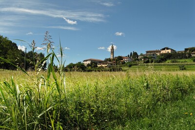 Agricoltura in Brianza