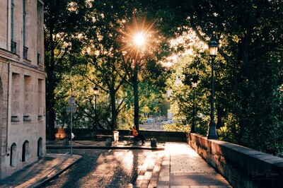 Un signore osserva il tramonto, seduto su una panchina a Place Louis Aragon, sulla punta dell\\\'Île St. Louis a Parigi