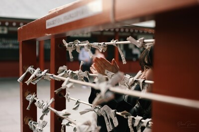 Una giovane donna attacca un biglietto che contiene una predizione (omikuji)- al tempio Senso-ji, Tokyo