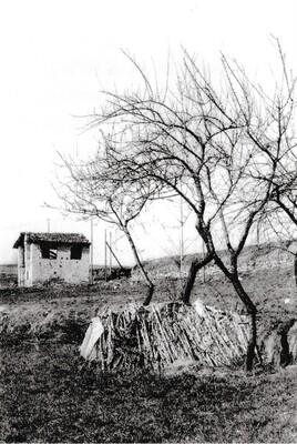 Campagna di Colciago