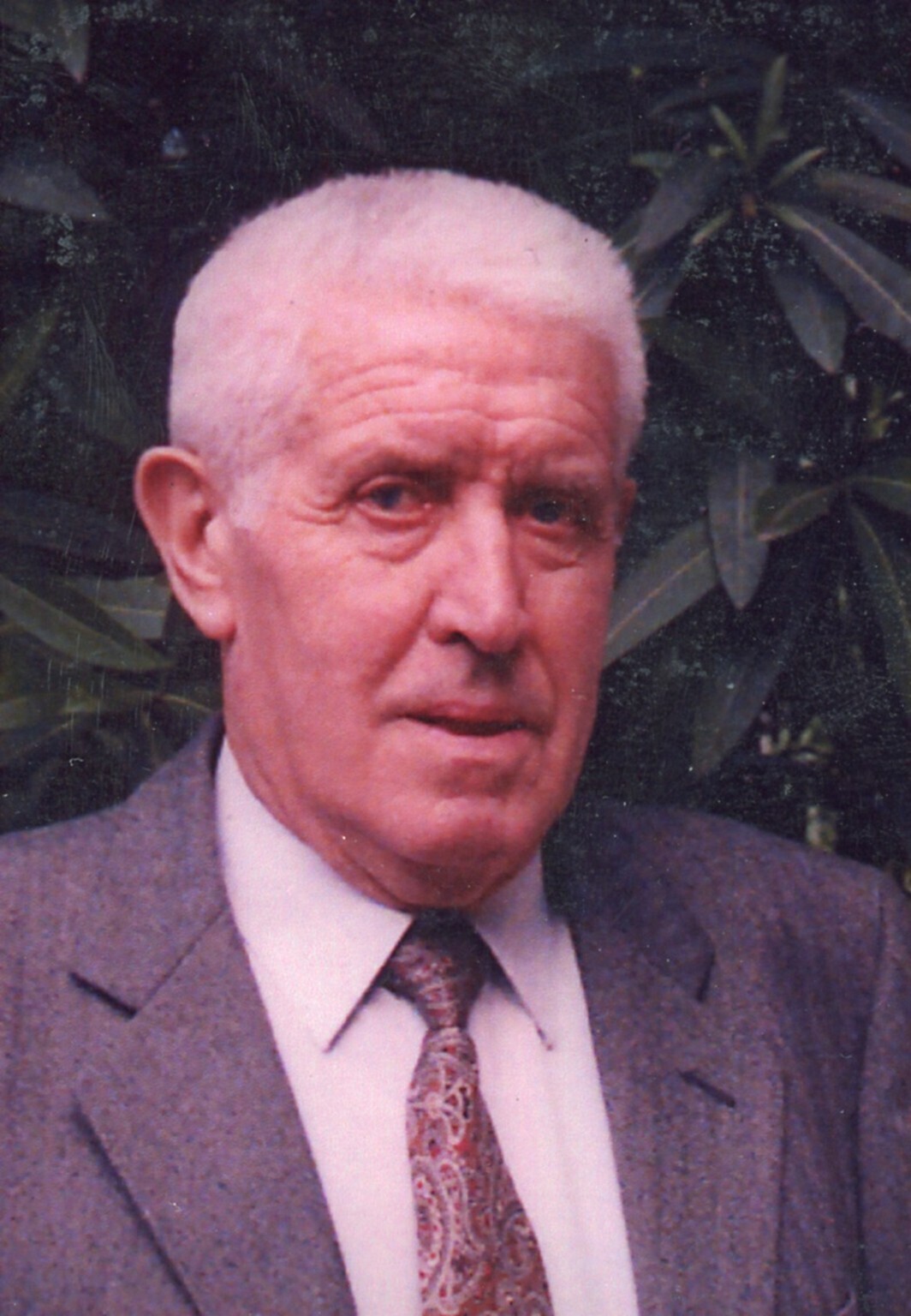 Ritratto maschile - Alpino - Ettore Mauri